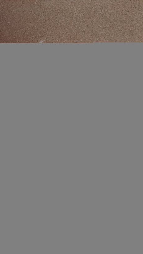 asian princess onlyfans free nude image