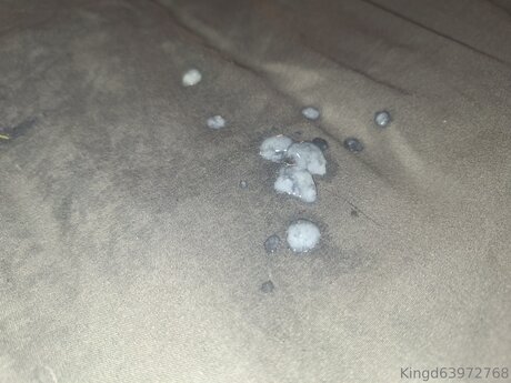 U370740840 hd pornstar image