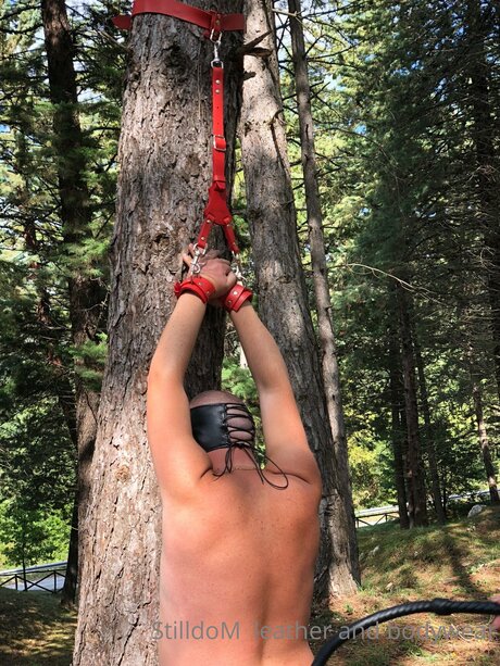 Stilldom free model archive