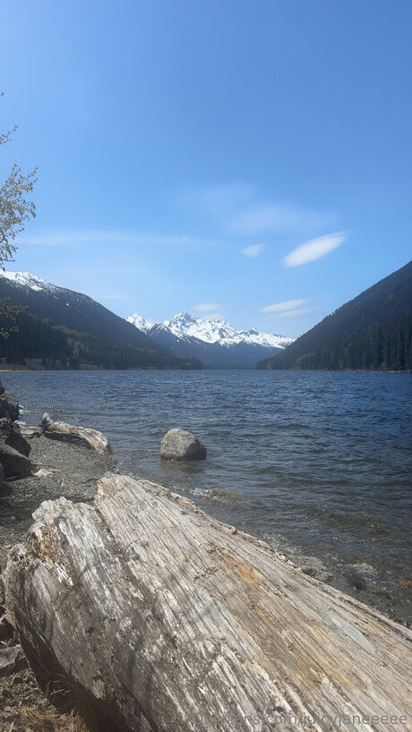 Juicyjaneeeee perfect star archive