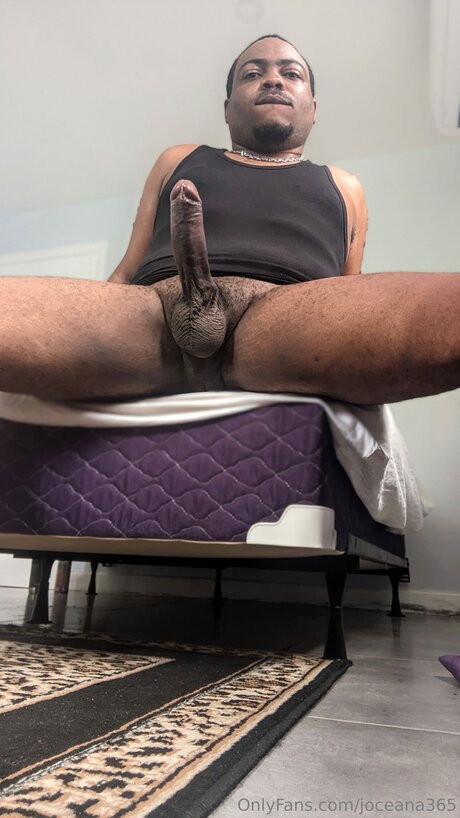 Joceana365 art star img