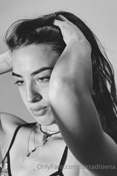 Terradisiena best star pics