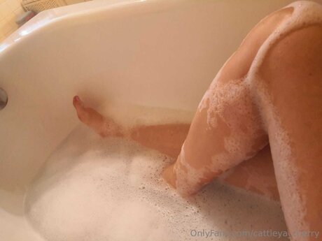 Cattleya Cherry art model gallery