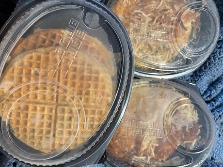 Celluliteangel free pornstar archive