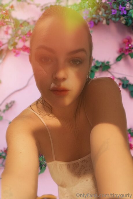 Tinygurly star top pictures