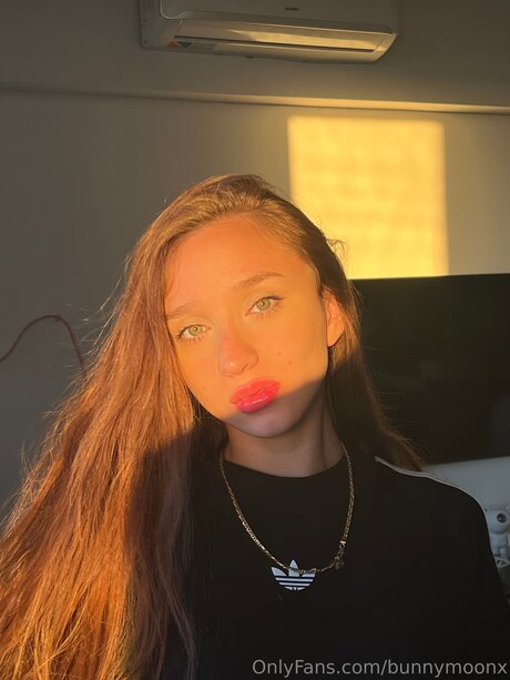 Bunnymoonx beautiful star gallery