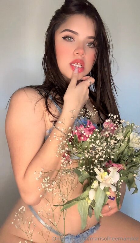 Marisolheernandez beautiful actress pictures