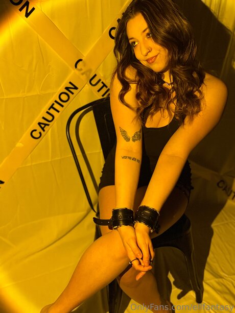 Ellfantasy star top pic