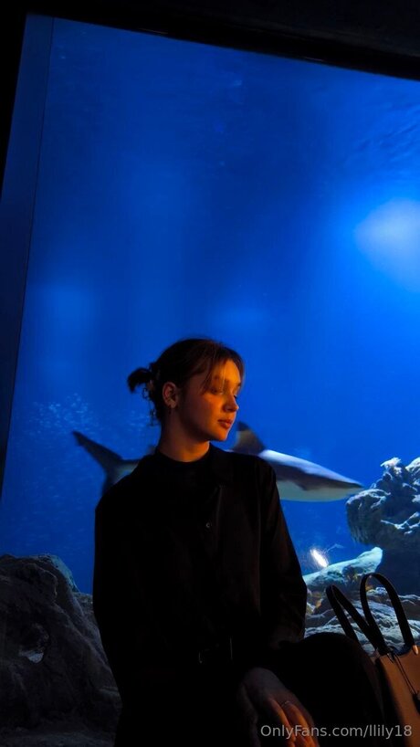 Llily18 star gallery