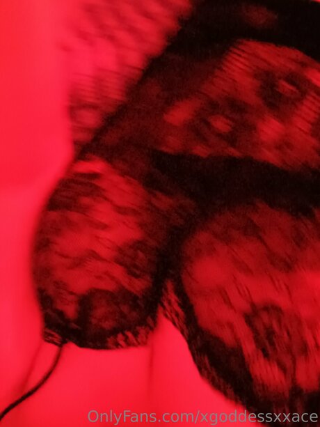 post op shemale onlyfans free gallery