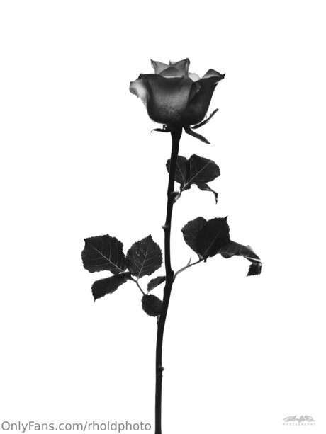 Rholdphoto beautiful actress pictures