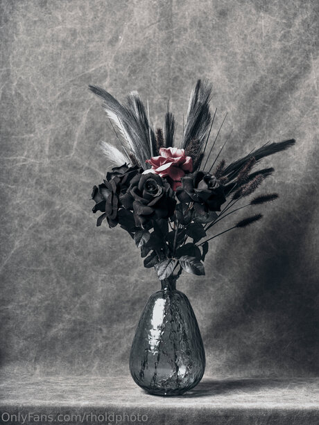 Rholdphoto pornstar high quality picture