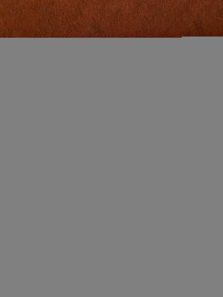 Dirny Kate model erotic archive