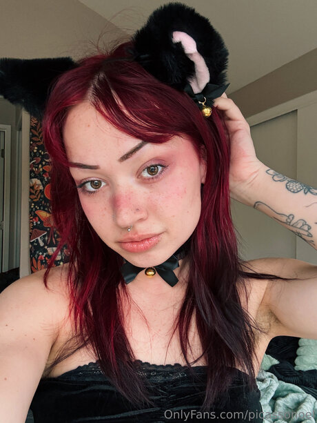 Picassonoel best model archive