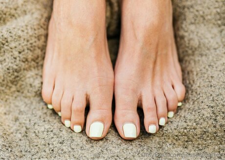 Jlp83 pornstar adult archive