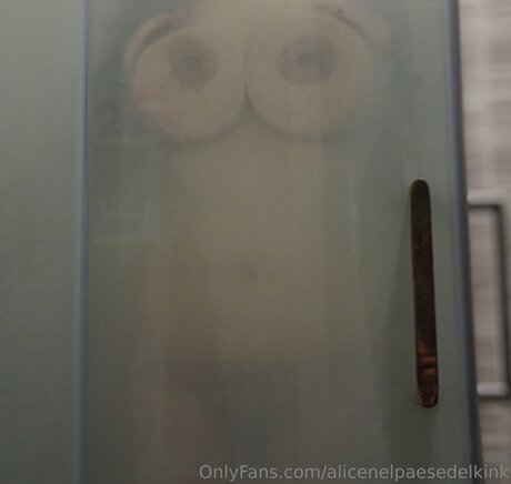 Alicenelpaesedelkink nudes model image