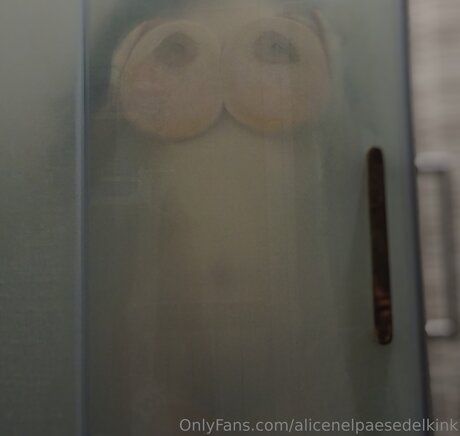 Alicenelpaesedelkink model nude pic
