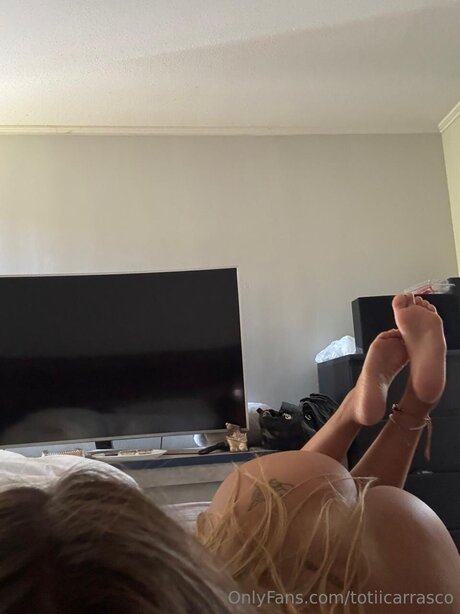 Totiicarrasco star high quality image