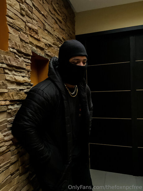 Thefoxnpcfree star art archive