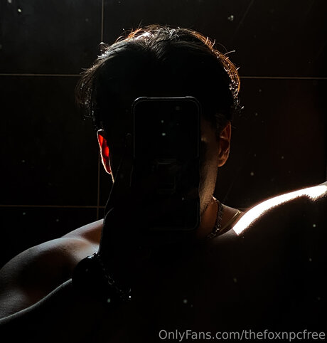 Thefoxnpcfree sexy star photo