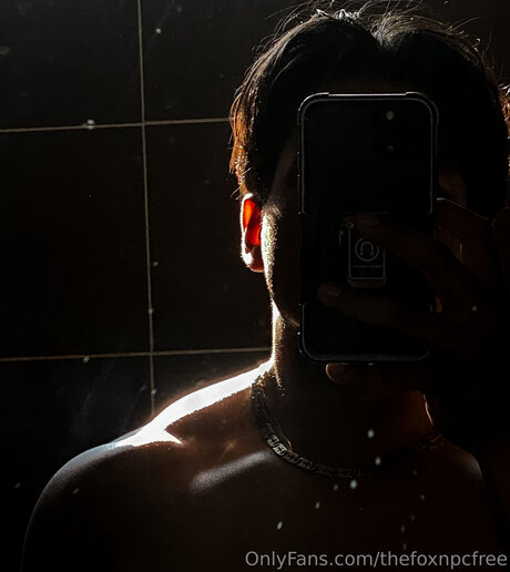 Thefoxnpcfree nude pornstar image