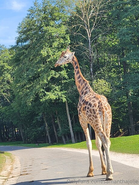 horny teen onlyfans free xxx archive