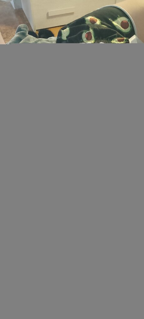 La Fornaretta model exclusive img