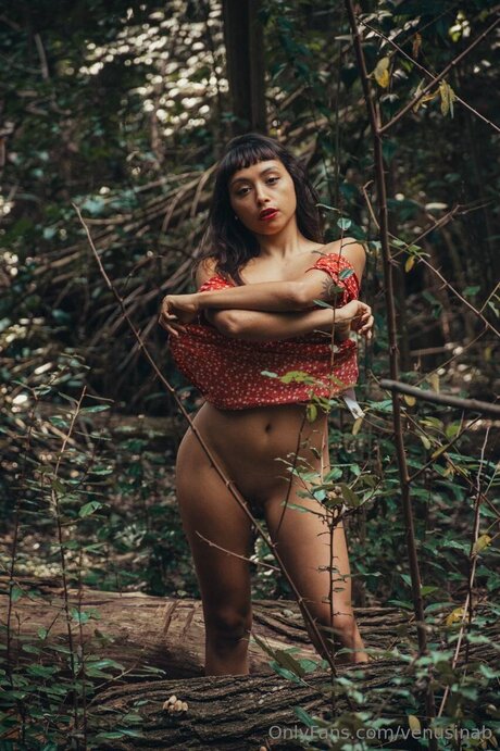 Venusinab model best photos