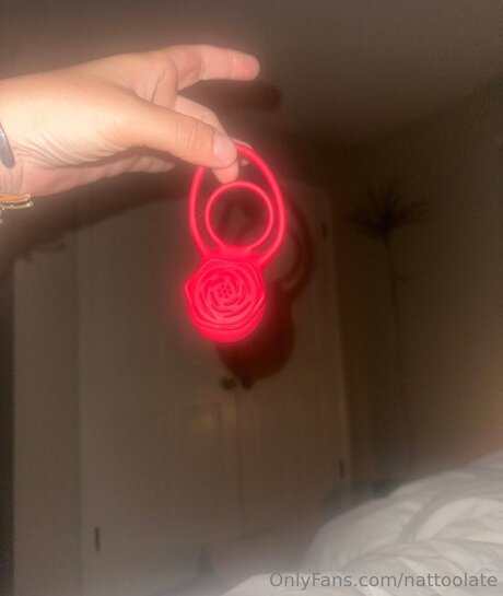 Nattoolate hd model img