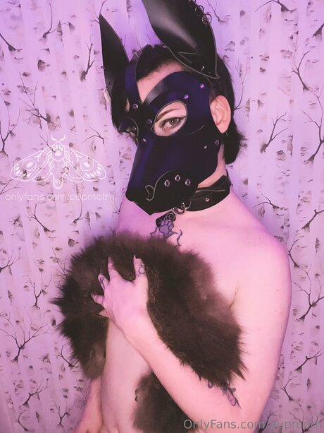 Pupmoth pretty pornstar pics