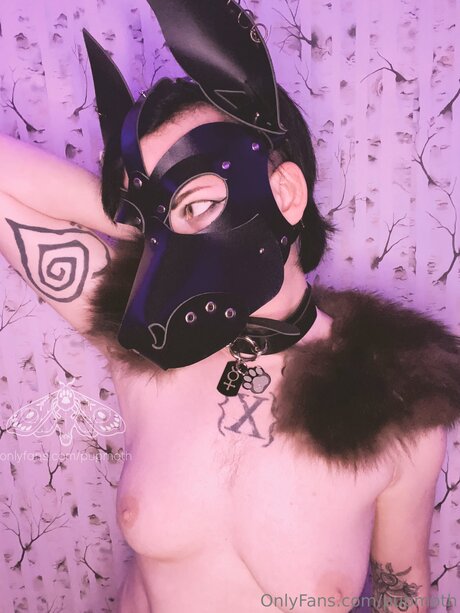 Pupmoth adult model photos