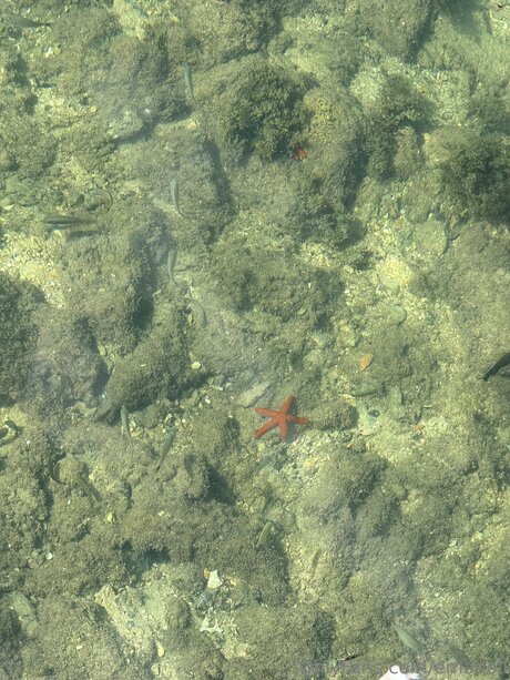 Emadoll xxx model photos