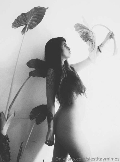 Siestitaymimos high quality model photo