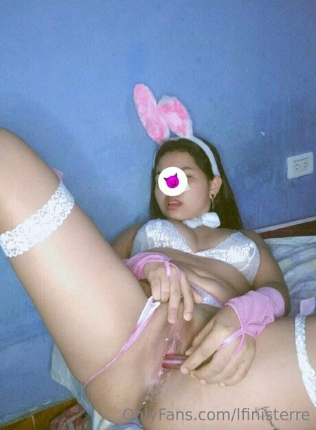 Lfinisterre star free galleries