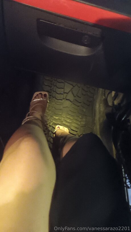 Vanessarazo2201 nice pornstar images