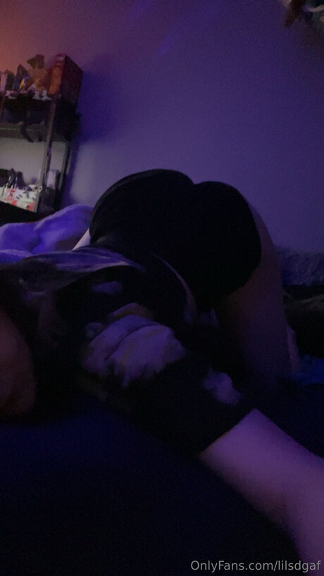 Lilsdgaf perfect pornstar gallery