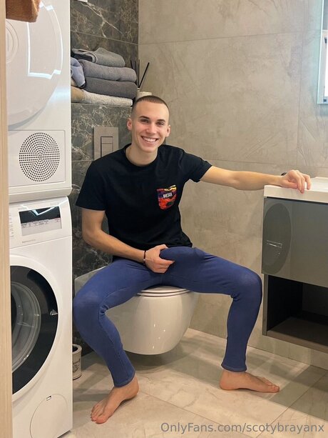 Scotybrayanx art star galleries