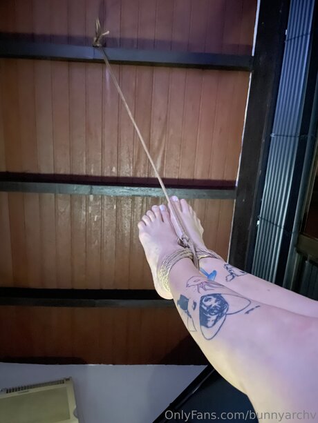 Bunnyarchv hot star pictures