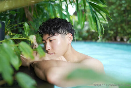 celebrity onlyfans free porn images