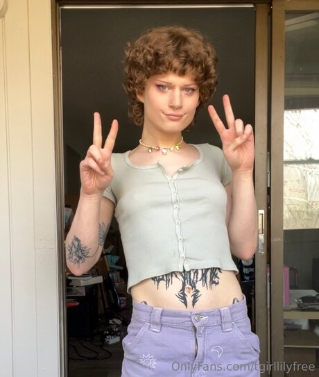 Tgirllilyfree pornstar top photo