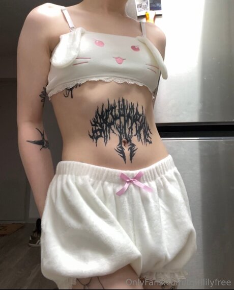 Tgirllilyfree star exclusive image