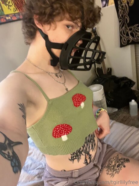 Tgirllilyfree sex star photo