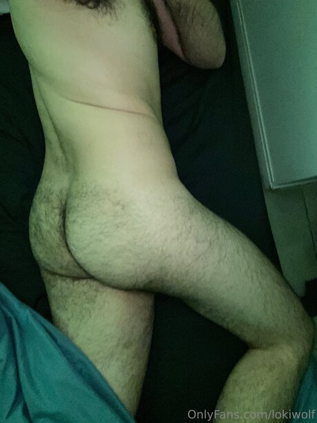 Lokiwolf beautiful star gallery