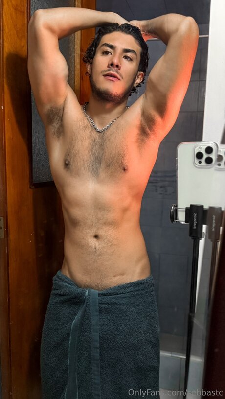 Sebbastc art star gallery