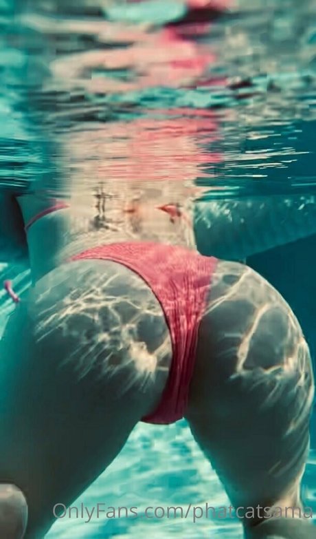 phatcatsama nice pornstar img