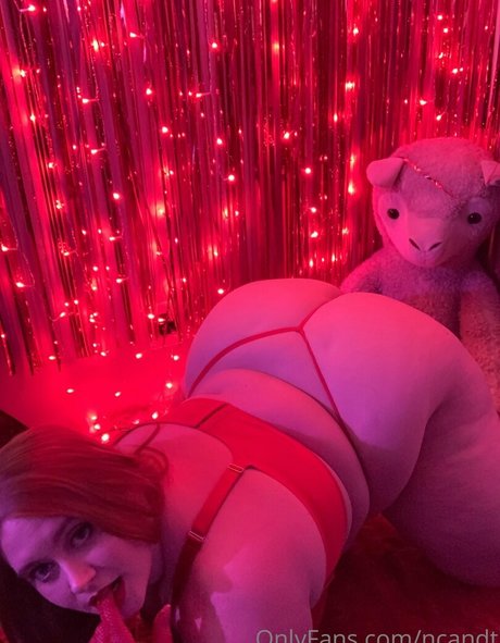 ncandt model perfect picture