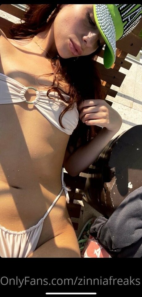 zinniafreaks best star galleries