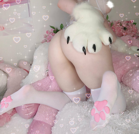 jossijpeg free star photo