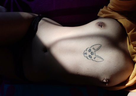 fatibunn high quality star photos