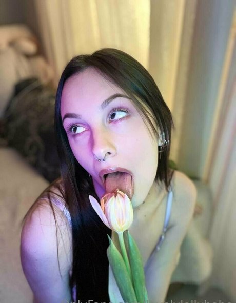 novaseren star gallery